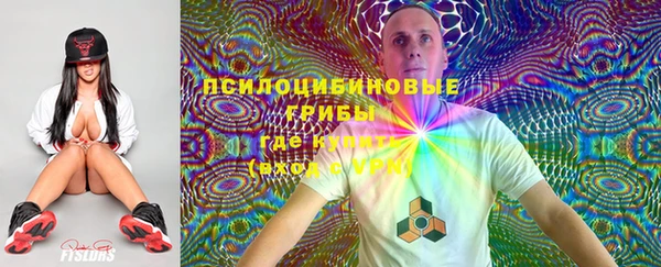 ГАЛЛЮЦИНОГЕННЫЕ ГРИБЫ Красноперекопск