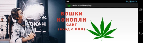 каннабис Новозыбков