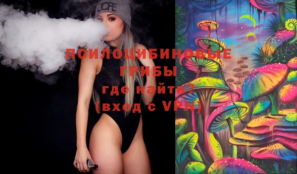 каннабис Новозыбков