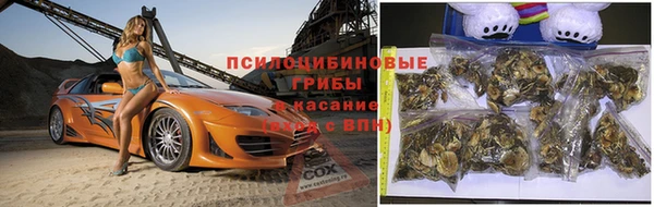 герыч Новокубанск