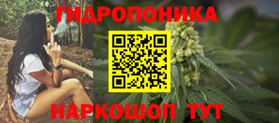 mdpv Кимры