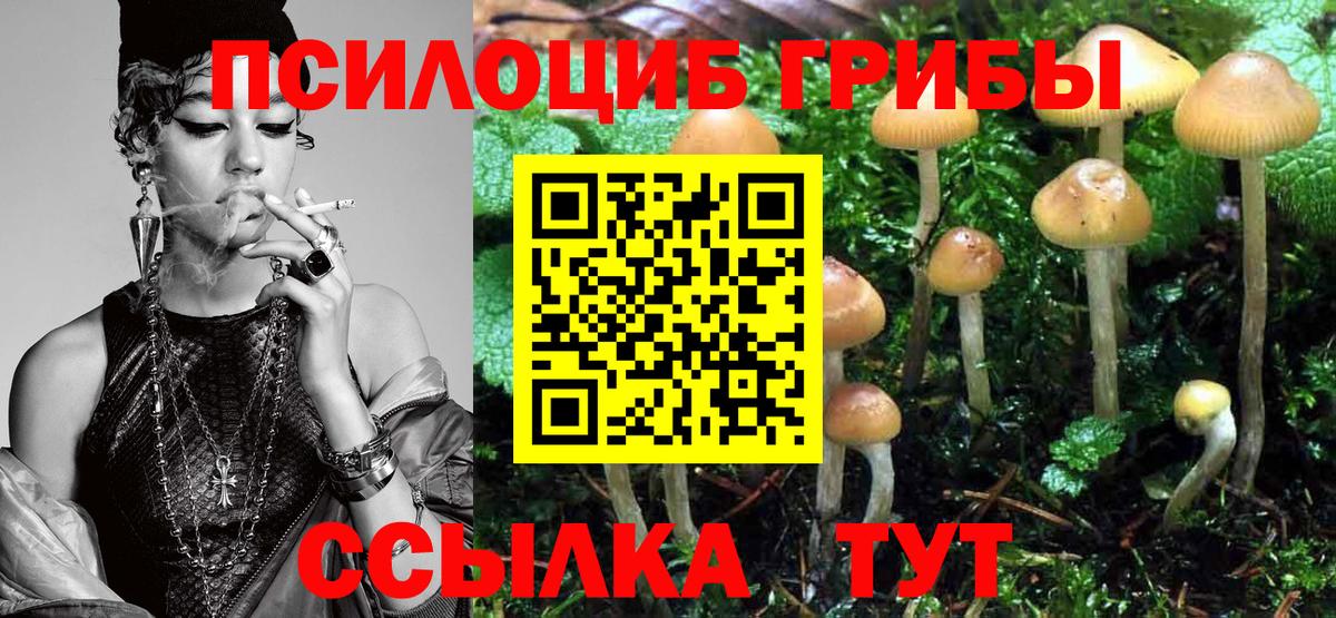 Псилоцибиновые грибы Magic Shrooms  Вход с VPN  Галлюциногенные грибы ЛСД  Морозовск 
