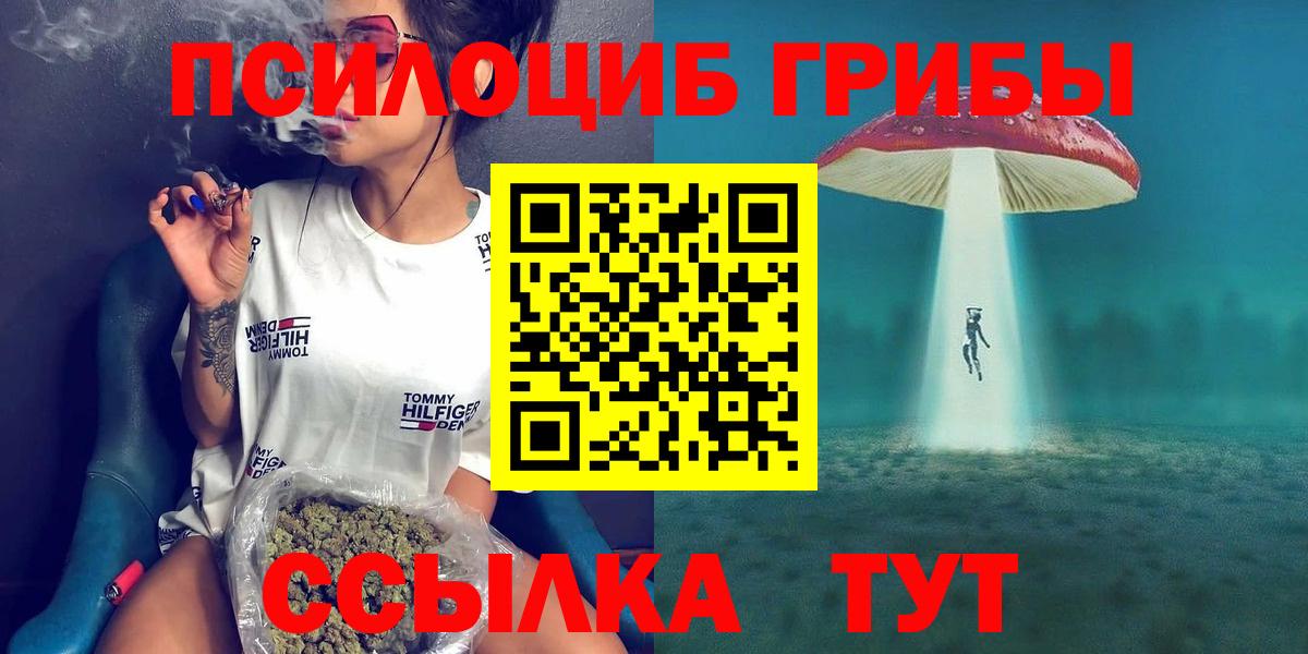 Псилоцибиновые грибы прущие грибы  где можно купить наркотик  Морозовск  Галлюциногенные грибы MAGIC MUSHROOMS 