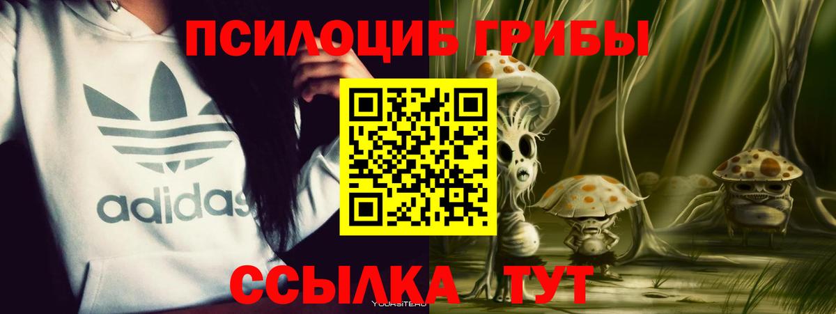 Псилоцибиновые грибы прущие грибы Морозовск